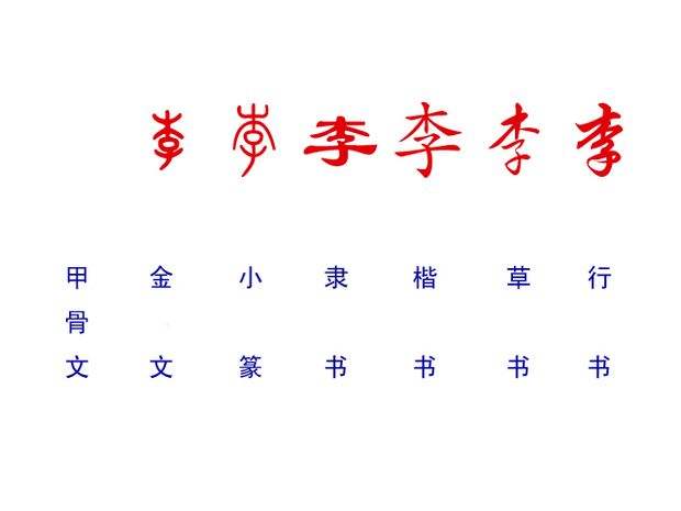 李字多少画(李字多少笔画)